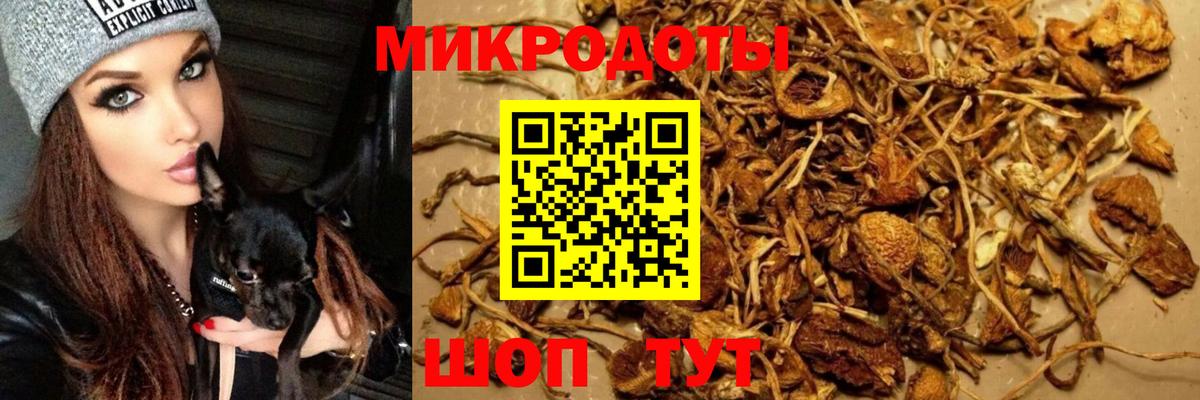 Краснодар  Псилоцибиновые грибы мухоморы  Вход с VPN  Галлюциногенные грибы прущие грибы 