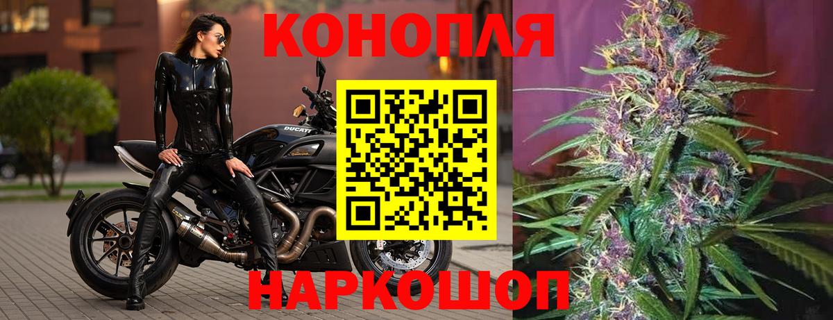 Конопля ГИДРОПОН Краснодар